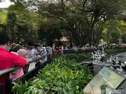 Warga Tangerang Ajak Anak Kunjungi Ragunan: Selama Ini Hanya Lihat Hewan dari YouTube